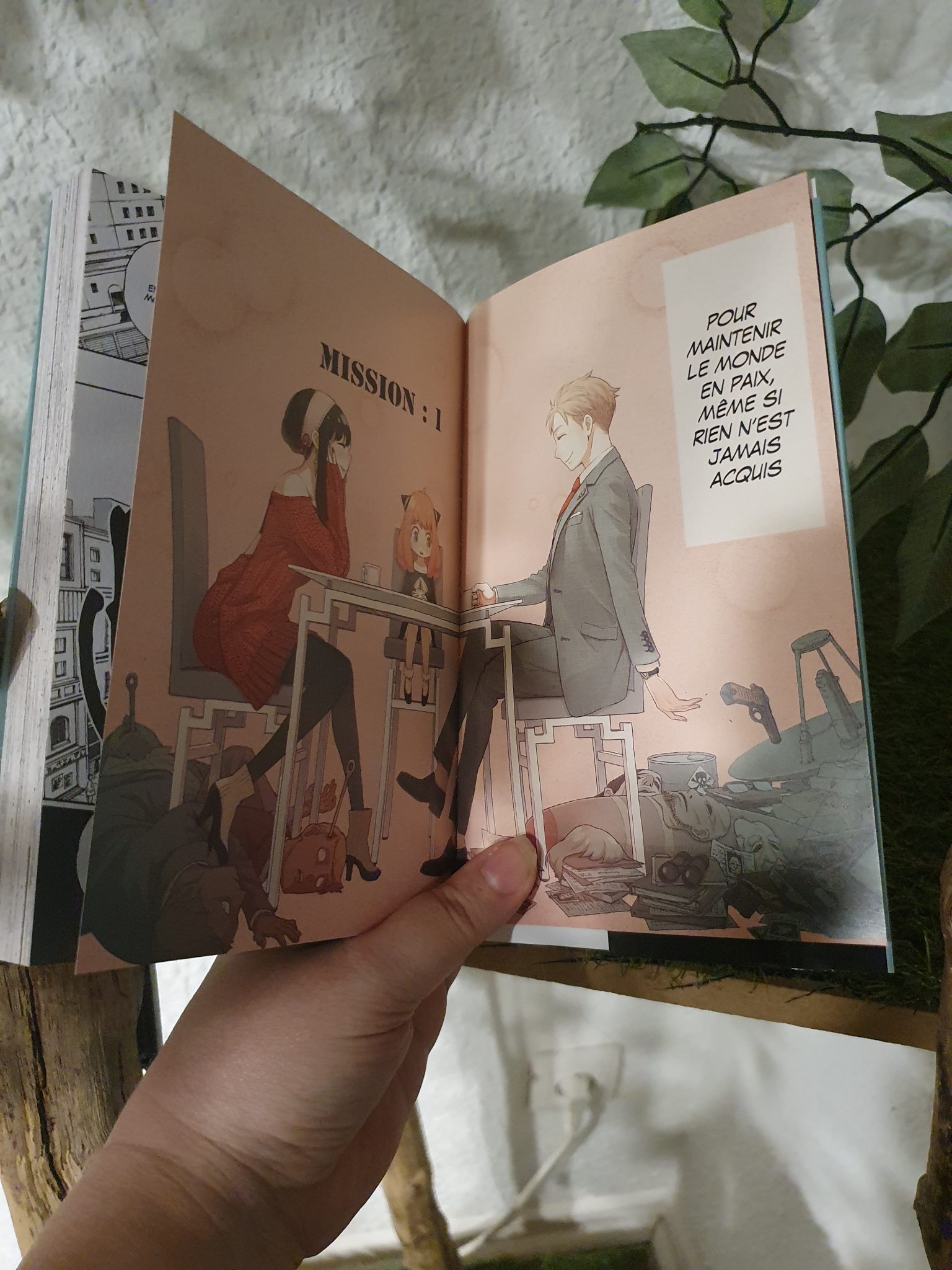 Spy Family Nombre De Tome